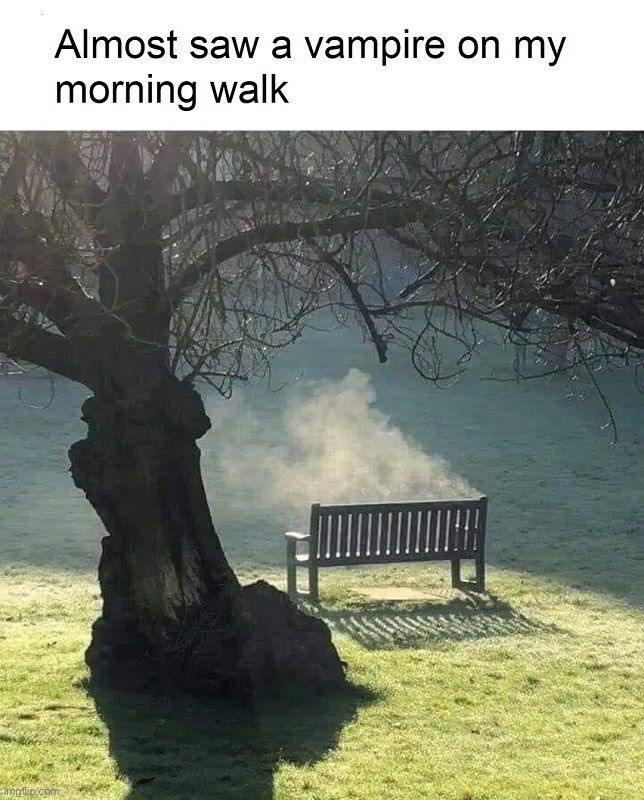 image tagged in memes,funny | made w/ Imgflip meme maker