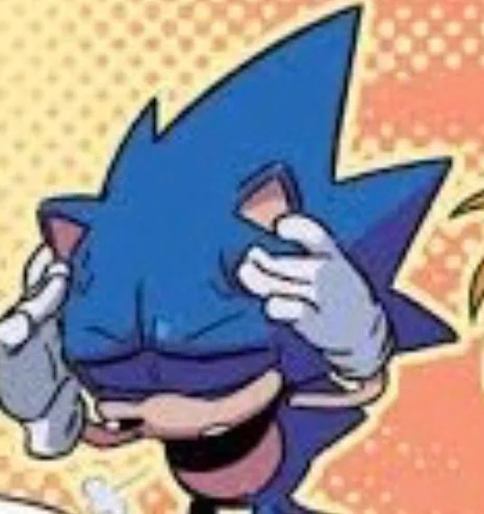 sonic exasperated Blank Meme Template