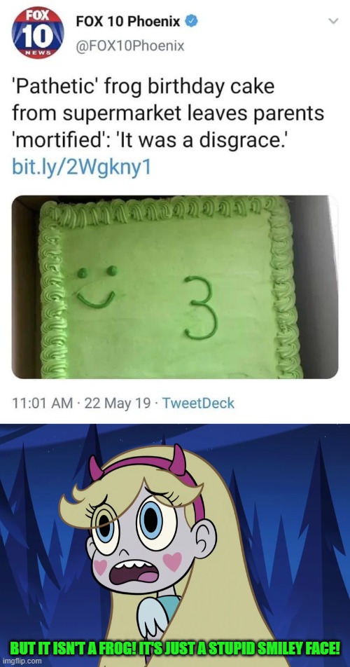 “Frog birthday cake” | BUT IT ISN'T A FROG! IT'S JUST A STUPID SMILEY FACE! | image tagged in star butterfly looking back,you had one job,star vs the forces of evil,memes | made w/ Imgflip meme maker