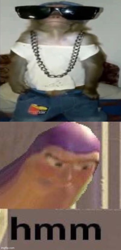 Gangsta monkey | image tagged in buzz lightyear hmm,memes,funny,cursed image | made w/ Imgflip meme maker