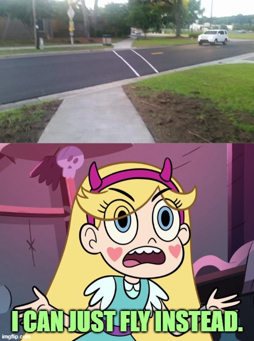 I CAN JUST FLY INSTEAD. | image tagged in star butterfly,you had one job,star vs the forces of evil,memes | made w/ Imgflip meme maker