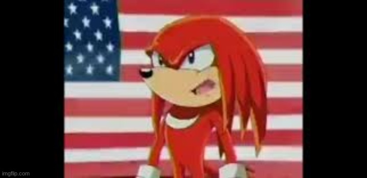 patriotic knuckles | image tagged in patriotic knuckles | made w/ Imgflip meme maker
