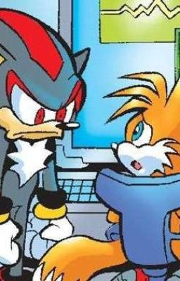shadow mad at tails Blank Meme Template