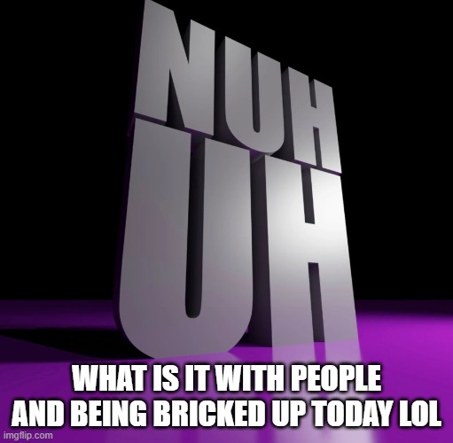 nuh uh 3d | WHAT IS IT WITH PEOPLE AND BEING BRICKED UP TODAY LOL | image tagged in nuh uh 3d | made w/ Imgflip meme maker