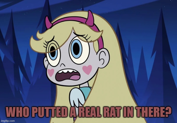 Star Butterfly looking back | WHO PUTTED A REAL RAT IN THERE? | image tagged in star butterfly looking back | made w/ Imgflip meme maker