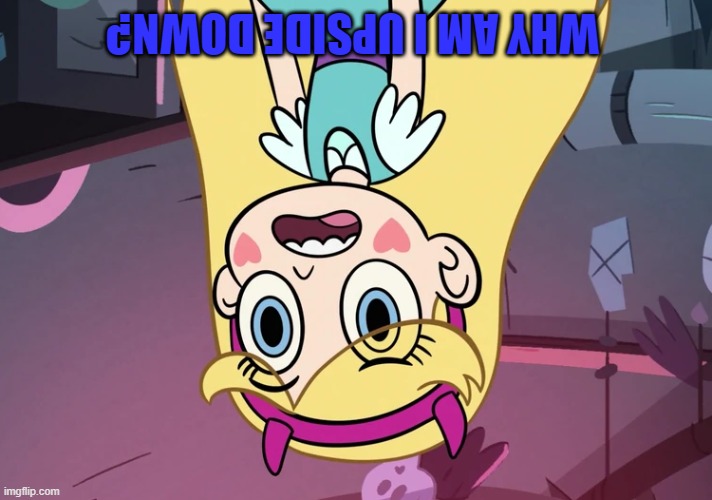 Star Butterfly Confused | WHY AM I UPSIDE DOWN? | image tagged in star butterfly confused | made w/ Imgflip meme maker