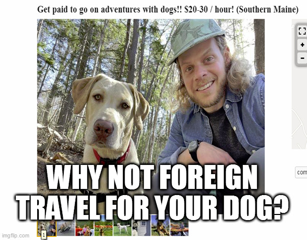 WHY NOT FOREIGN TRAVEL FOR YOUR DOG? | image tagged in memes | made w/ Imgflip meme maker