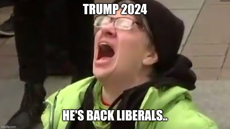 Can't wait for this sequel | TRUMP 2024; HE'S BACK LIBERALS.. | image tagged in screaming liberal | made w/ Imgflip meme maker