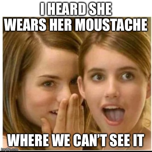 two hot girls | I HEARD SHE WEARS HER MOUSTACHE WHERE WE CAN’T SEE IT | image tagged in two hot girls | made w/ Imgflip meme maker