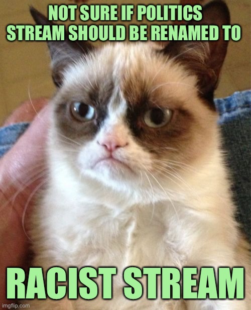 Grumpy Cat Meme | NOT SURE IF POLITICS STREAM SHOULD BE RENAMED TO; RACIST STREAM | image tagged in memes,grumpy cat | made w/ Imgflip meme maker