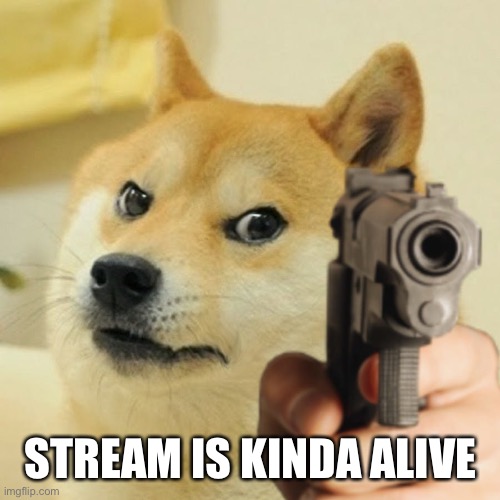 Doge holding a gun | STREAM IS KINDA ALIVE | image tagged in doge holding a gun | made w/ Imgflip meme maker