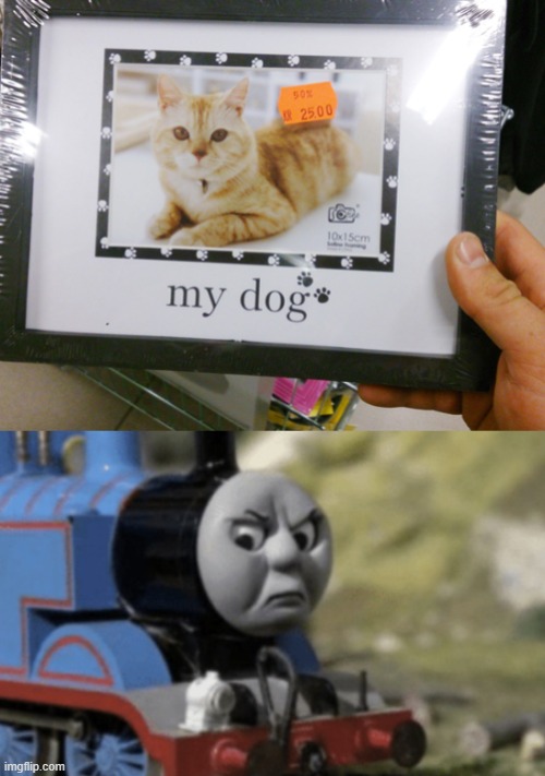 50% off... | image tagged in thomas the tank engine,photo fail,fail,funny,you had one job,product fail | made w/ Imgflip meme maker