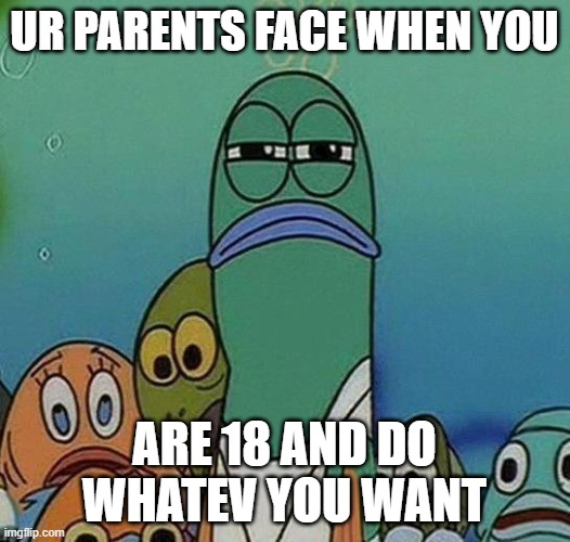 SpongeBob | UR PARENTS FACE WHEN YOU; ARE 18 AND DO WHATEV YOU WANT | image tagged in spongebob | made w/ Imgflip meme maker