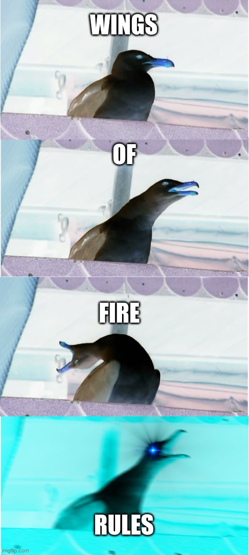 wof meme #25 | WINGS; OF; FIRE; RULES | image tagged in memes,inhaling seagull | made w/ Imgflip meme maker