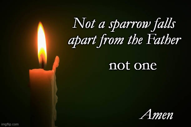 Not a sparrow falls apart from the Father; not one; Amen | made w/ Imgflip meme maker