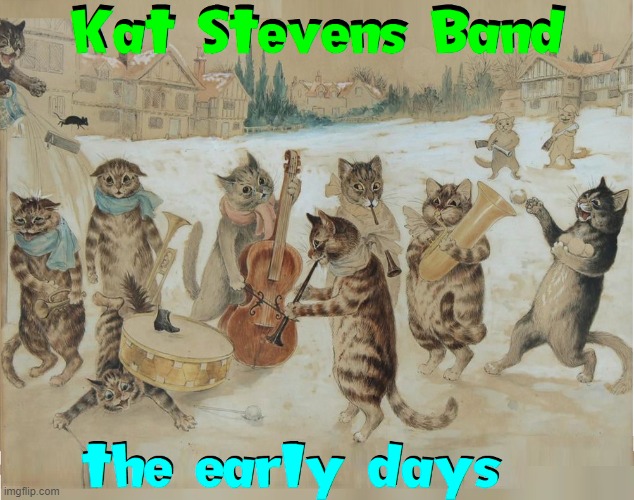 Cat Scratch Fever by the Stray Cats | image tagged in vince vance,cats,band,funny cat memes,stray cats,i love cats | made w/ Imgflip meme maker
