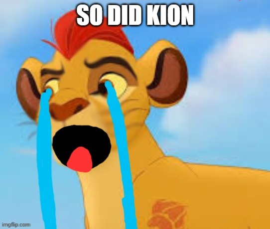 Used in comment | SO DID KION | image tagged in extreme crying kion crybaby | made w/ Imgflip meme maker