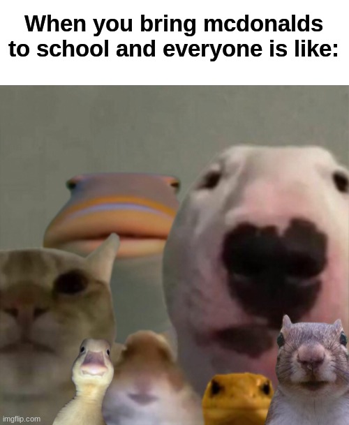The council remastered | When you bring mcdonalds to school and everyone is like: | image tagged in the council remastered | made w/ Imgflip meme maker