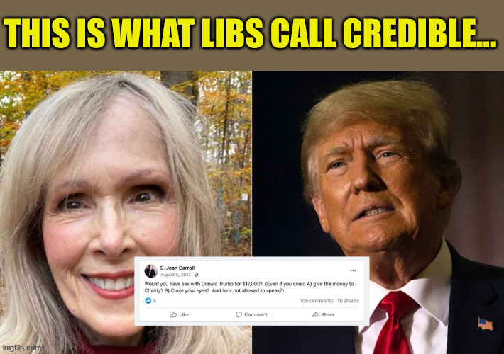 All you have to do is just read all the crap lying Jean Carroll has tweeted over the years... | THIS IS WHAT LIBS CALL CREDIBLE... | image tagged in fake,trump,lawsuit,lying,victim | made w/ Imgflip meme maker