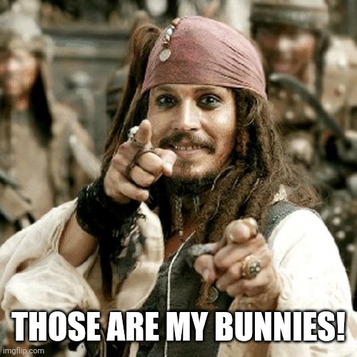 POINT JACK | THOSE ARE MY BUNNIES! | image tagged in point jack | made w/ Imgflip meme maker