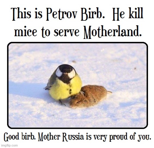 Even Comrade Birb must celebrate Victory Day in Russia | image tagged in vince vance,victory day,russia,comrade,birb,meme | made w/ Imgflip meme maker