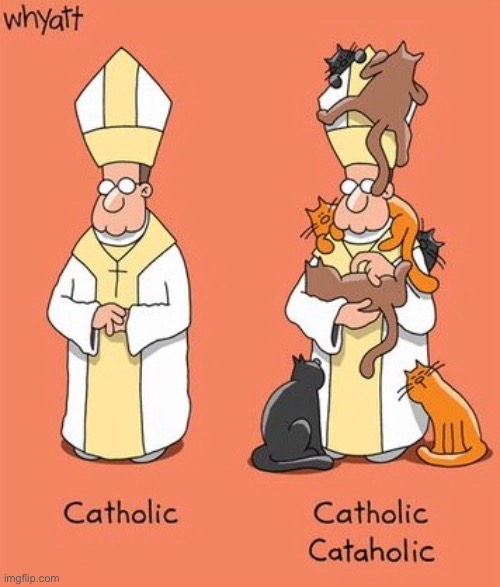 Catholic | image tagged in catholic,catoholic,cats,comics | made w/ Imgflip meme maker