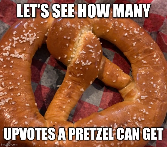 Plz | LET’S SEE HOW MANY; UPVOTES A PRETZEL CAN GET | image tagged in upvote begging | made w/ Imgflip meme maker