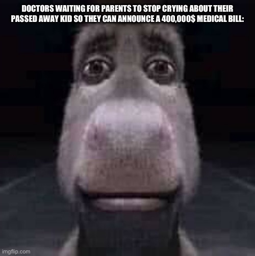 Donkey staring | DOCTORS WAITING FOR PARENTS TO STOP CRYING ABOUT THEIR PASSED AWAY KID SO THEY CAN ANNOUNCE A 400,000$ MEDICAL BILL: | image tagged in donkey staring,oop | made w/ Imgflip meme maker