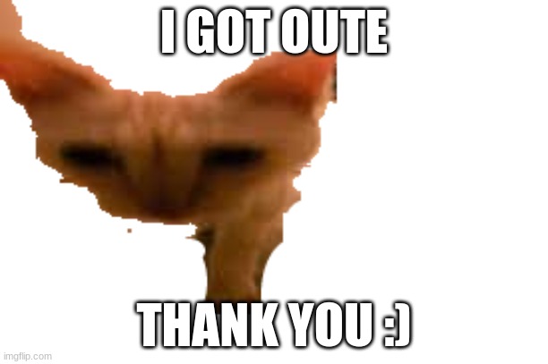 I GOT OUTE; THANK YOU :) | made w/ Imgflip meme maker