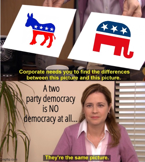 A two party democracy is NO democracy at all... | A two party democracy is NO democracy at all... | image tagged in memes,they're the same picture | made w/ Imgflip meme maker