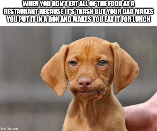 Mem | WHEN YOU DON'T EAT ALL OF THE FOOD AT A RESTAURANT BECAUSE IT'S TRASH BUT YOUR DAD MAKES YOU PUT IT IN A BOX AND MAKES YOU EAT IT FOR LUNCH | image tagged in dissapointed puppy,memes | made w/ Imgflip meme maker