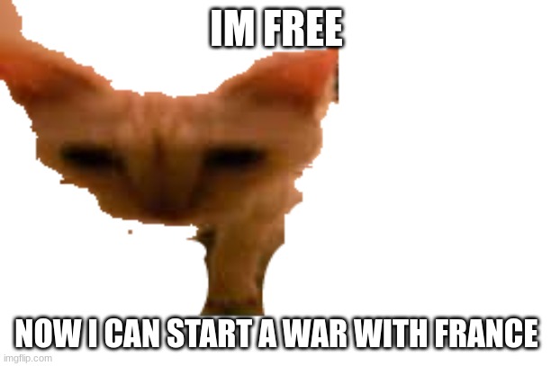 IM FREE NOW I CAN START A WAR WITH FRANCE | made w/ Imgflip meme maker