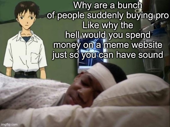 dont do it shinji | Why are a bunch of people suddenly buying pro
Like why the hell would you spend money on a meme website just so you can have sound | image tagged in dont do it shinji | made w/ Imgflip meme maker