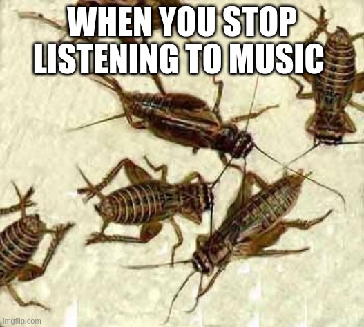 sounds outside to me | WHEN YOU STOP LISTENING TO MUSIC | image tagged in crickets,music,relatable,tags,more tags,more more tags | made w/ Imgflip meme maker