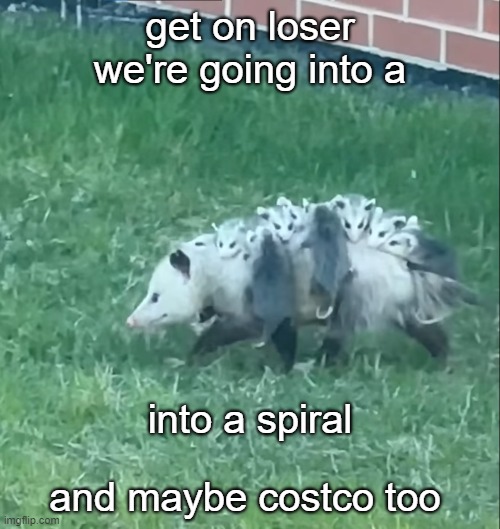 the bus is leaving | get on loser we're going into a; into a spiral; and maybe costco too | image tagged in bus,possum,get on loser,bagels,like for real get your fat ass on here kevin | made w/ Imgflip meme maker