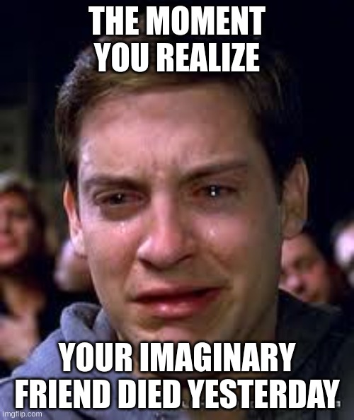 So Sad | THE MOMENT YOU REALIZE; YOUR IMAGINARY FRIEND DIED YESTERDAY | image tagged in crying spiderman | made w/ Imgflip meme maker