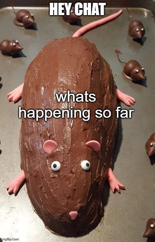 chocolate rat | HEY CHAT; whats happening so far | image tagged in chocolate rat | made w/ Imgflip meme maker