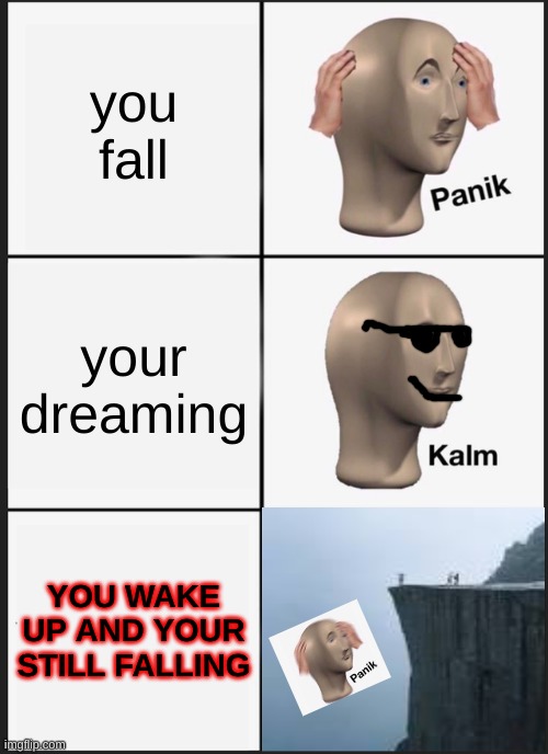 well crap | you fall; your dreaming; YOU WAKE UP AND YOUR STILL FALLING | image tagged in memes,panik kalm panik | made w/ Imgflip meme maker