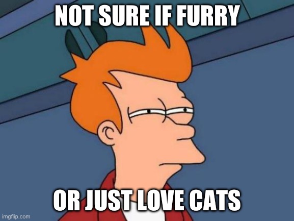 This is truly me | NOT SURE IF FURRY; OR JUST LOVE CATS | image tagged in memes,futurama fry | made w/ Imgflip meme maker