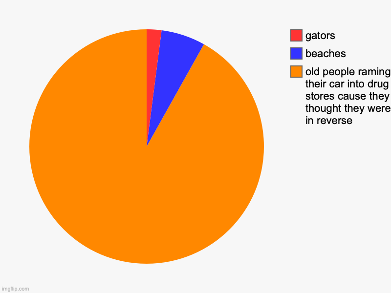 florida fact | old people raming their car into drug stores cause they thought they were in reverse, beaches, gators | image tagged in charts,pie charts | made w/ Imgflip chart maker