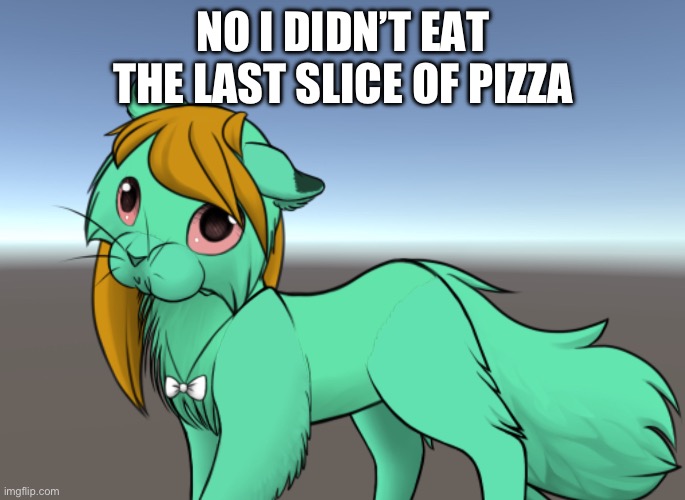 Quirky cat | NO I DIDN’T EAT THE LAST SLICE OF PIZZA | image tagged in how you actually look cat | made w/ Imgflip meme maker