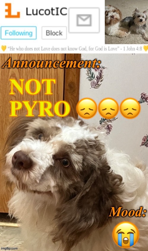 Im gonna miss firework man. | NOT PYRO 😞😞😞; 😭 | image tagged in lucotic s fangz announcement temp thanks strike | made w/ Imgflip meme maker