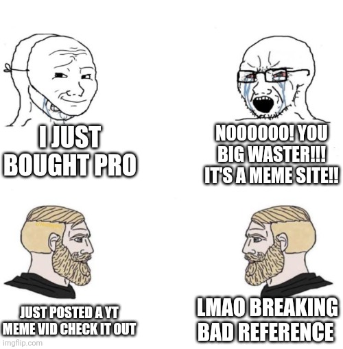 Chad we know | I JUST BOUGHT PRO; NOOOOOO! YOU BIG WASTER!!! IT'S A MEME SITE!! LMAO BREAKING BAD REFERENCE; JUST POSTED A YT MEME VID CHECK IT OUT | image tagged in chad we know | made w/ Imgflip meme maker