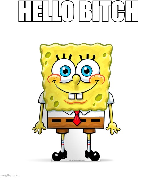 sspunger | HELLO BITCH | made w/ Imgflip meme maker