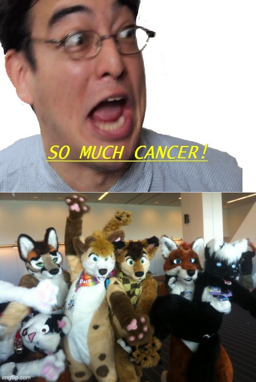 legit hiv breeding ground | image tagged in furries,you have been eternally cursed for reading the tags | made w/ Imgflip meme maker