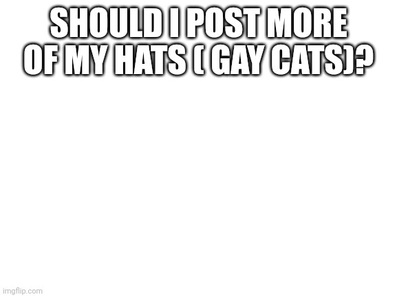 Blank White Template | SHOULD I POST MORE OF MY HATS ( GAY CATS)? | image tagged in blank white template | made w/ Imgflip meme maker