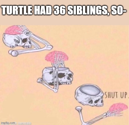I hate my brain so much | TURTLE HAD 36 SIBLINGS, SO- | image tagged in skeleton shut up meme | made w/ Imgflip meme maker