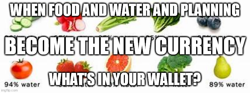 What be da plan, man. | WHEN FOOD AND WATER AND PLANNING; BECOME THE NEW CURRENCY; WHAT'S IN YOUR WALLET? | image tagged in food,water,survival | made w/ Imgflip meme maker