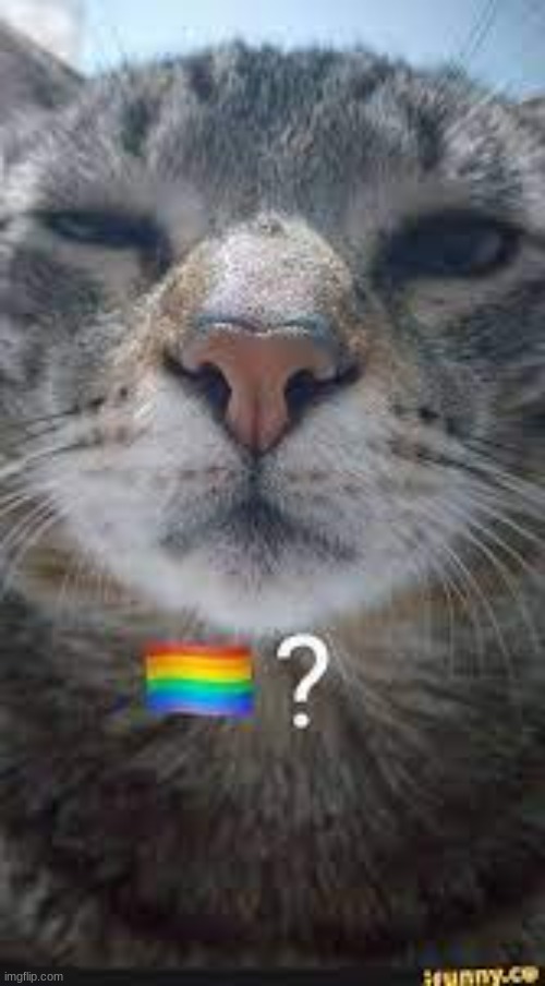 Gae? (repost lol) | image tagged in memes,lgbtq | made w/ Imgflip meme maker