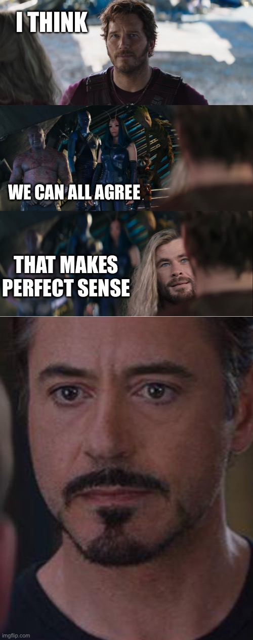 I THINK WE CAN ALL AGREE THAT MAKES PERFECT SENSE | image tagged in thor 4 love and thunder vs guardians of the galaxy,memes,marvel civil war 1 | made w/ Imgflip meme maker
